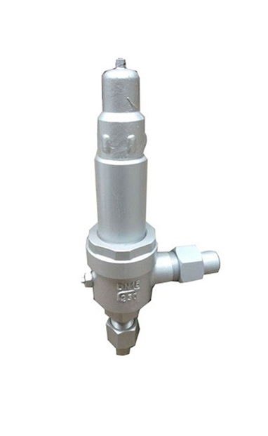 A61H, A61Y Spring Micro-lift Safety Valve