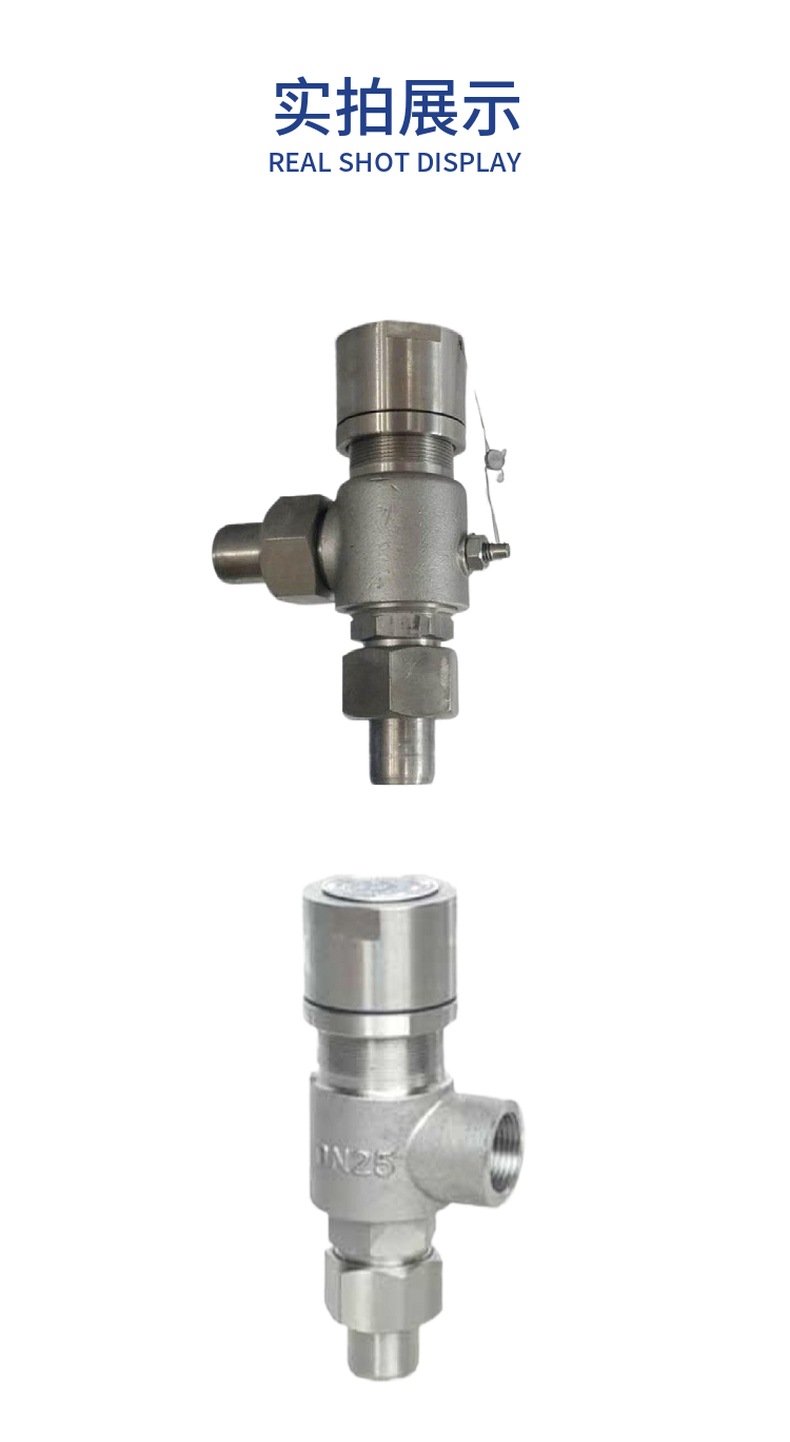 A21F Spring Micro-Open External Thread Safety Valve