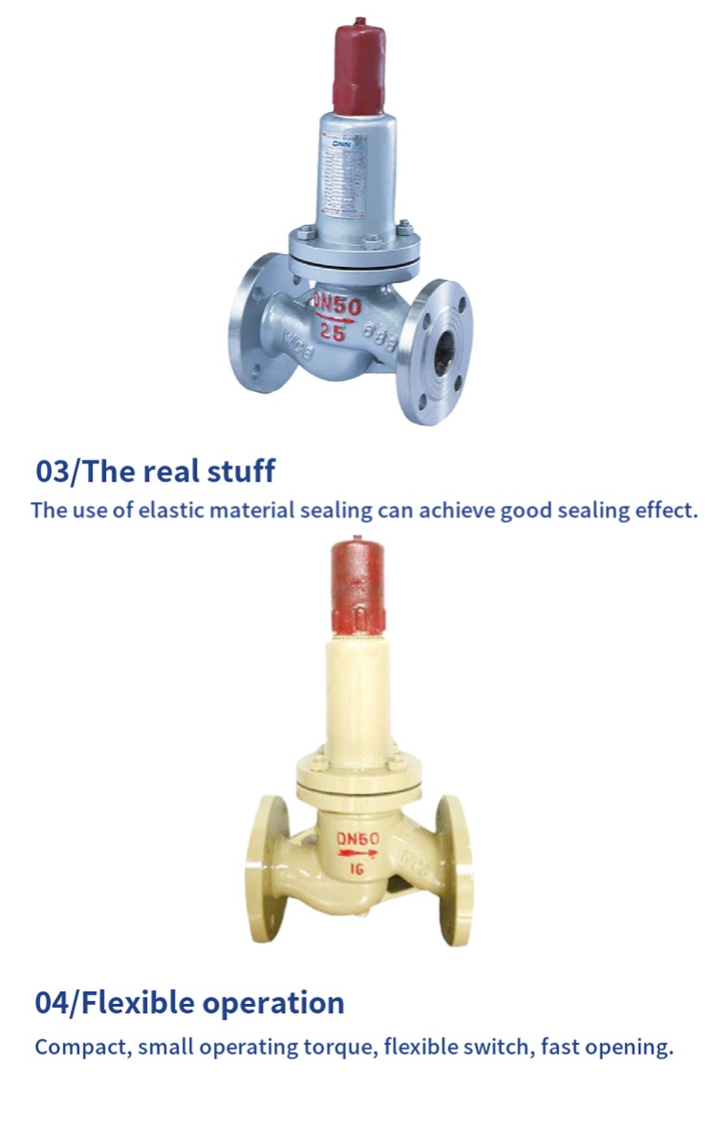 AHN42F Parallel Safety Return Valve