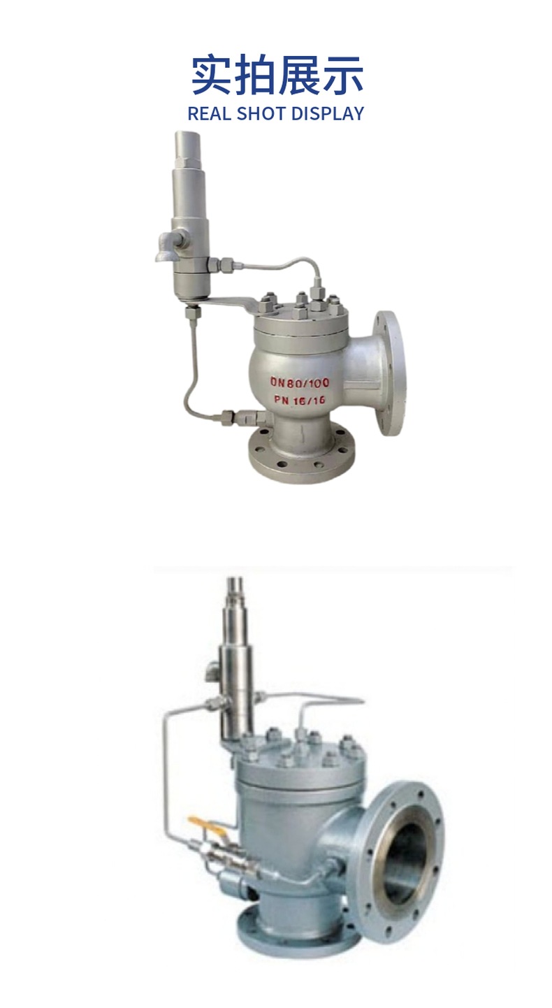 AX46F, AF46Y Pilot Relief Safety Valve