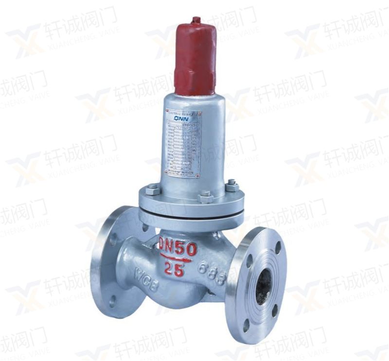 AHN42F Parallel Safety Return Valve