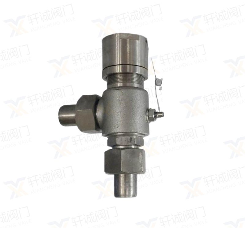 A21F Spring Micro-Open External Thread Safety Valve