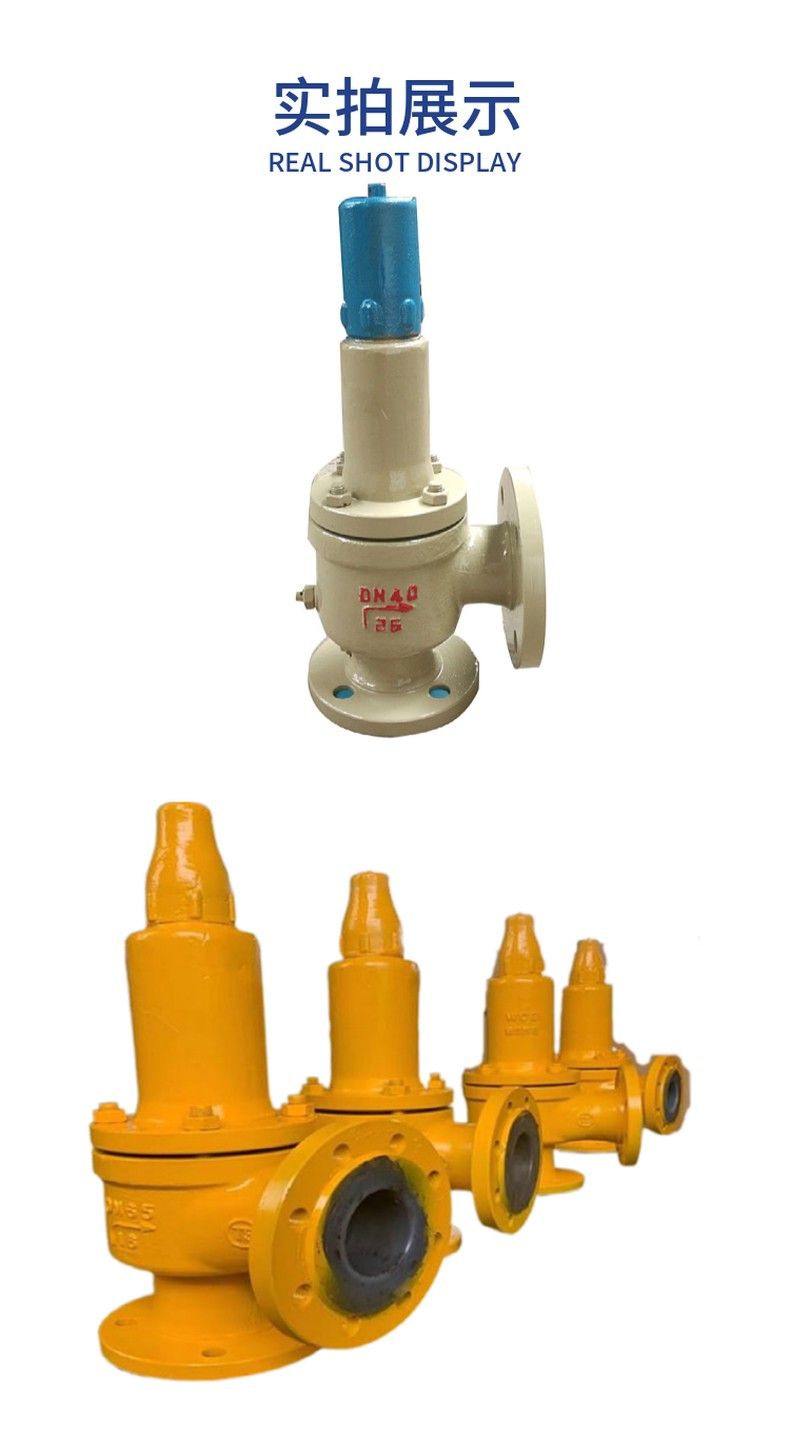 KA41Y Sulphur relief valve