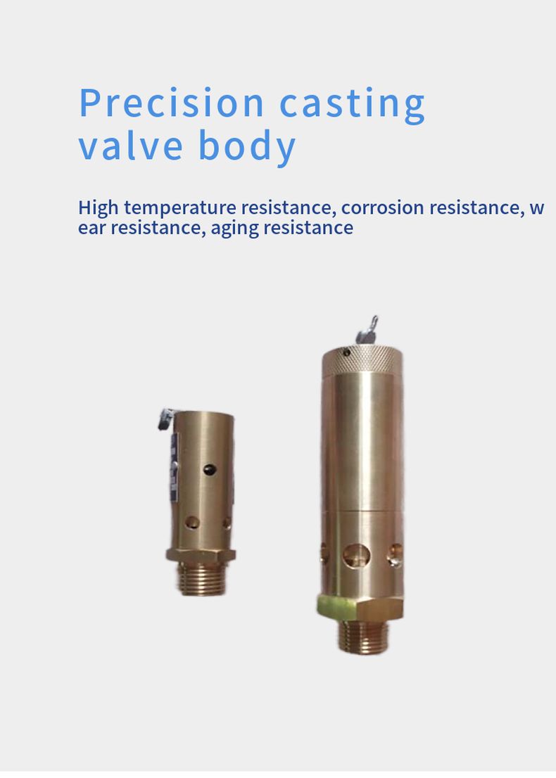 AQ air compressor safety valve