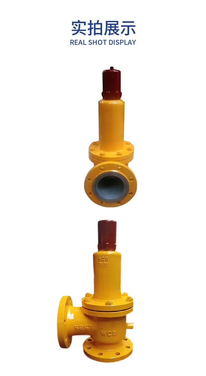 A42F46 lined with fluorine safety valve