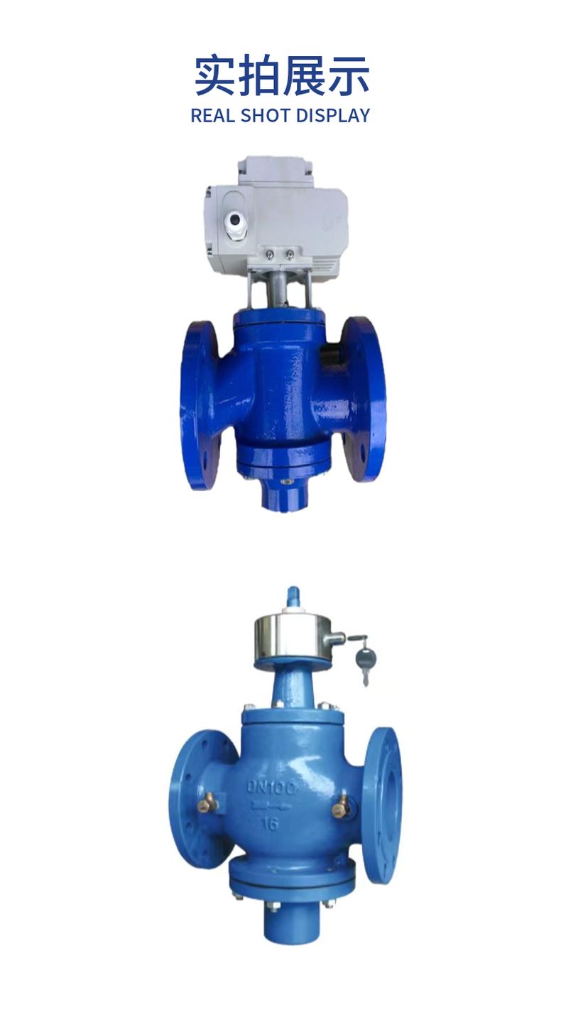 EDRV dynamic balance electric regulating valve