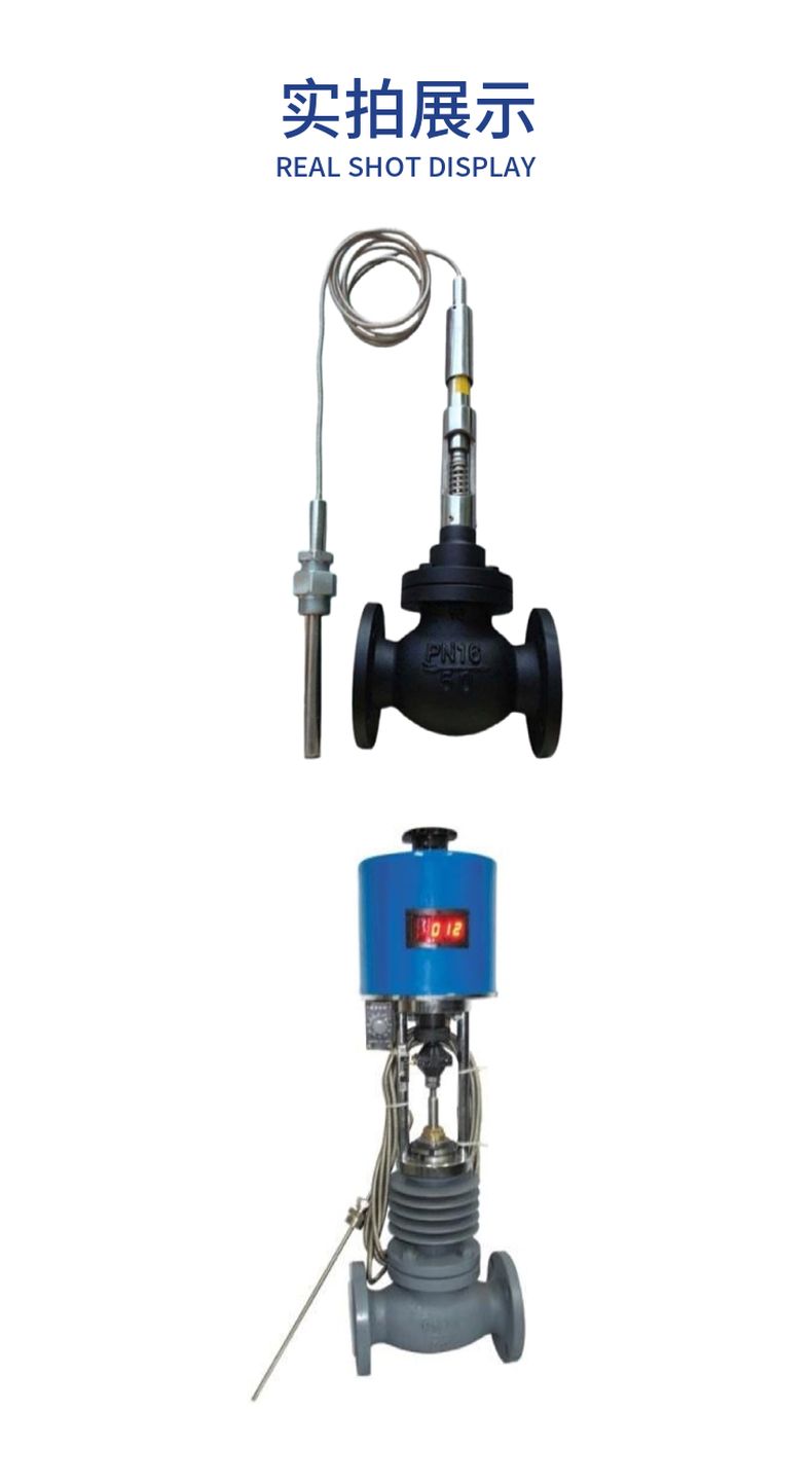 ZZWPE self-operated electric temperature control regulating valve