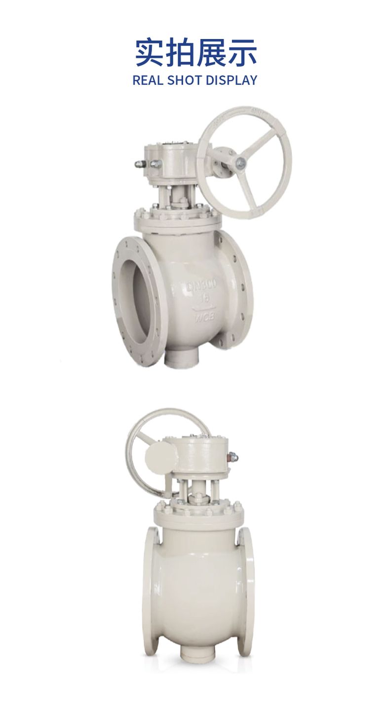 DYQ340F mounted eccentric globe ball valve