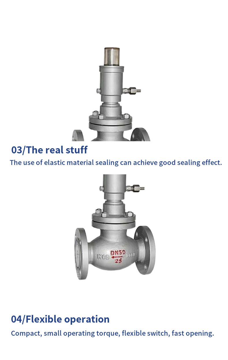 QDY421F LPG emergency shut-off valve