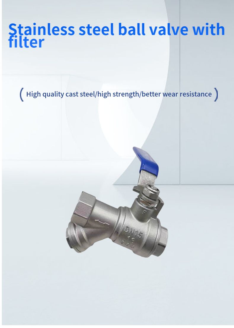 Stainless steel ball valve with filter