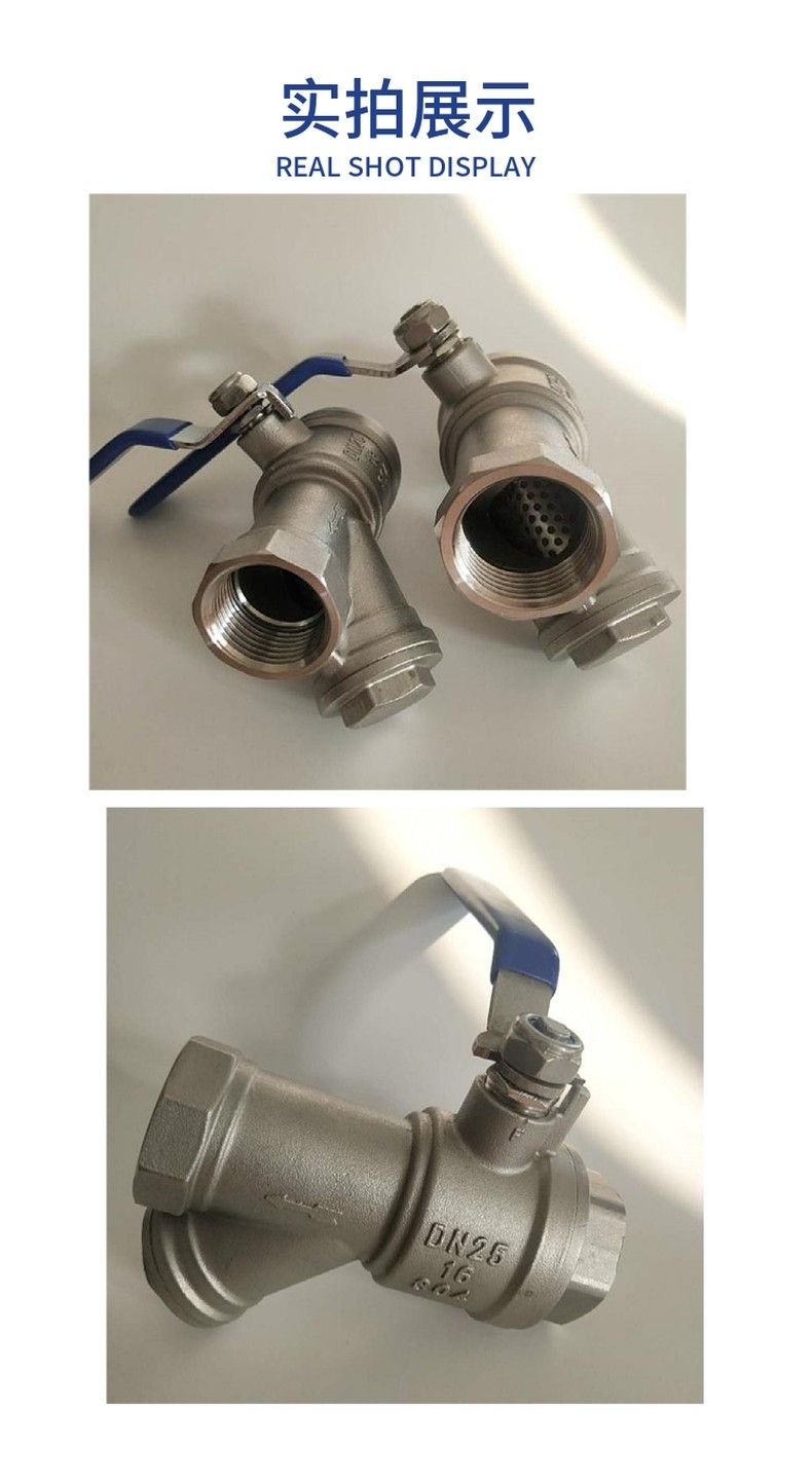 Stainless steel ball valve with filter