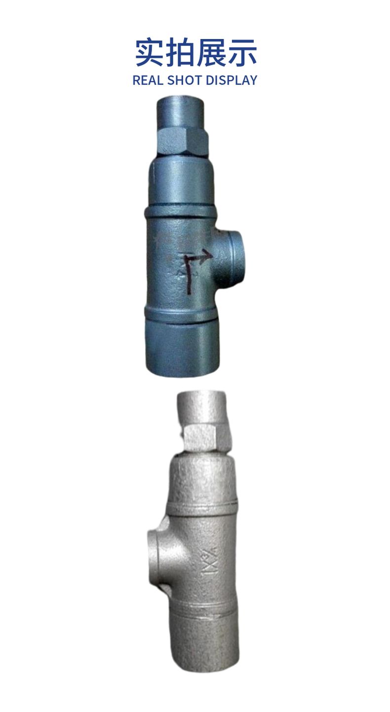 CS14H liquid expansion steam trap