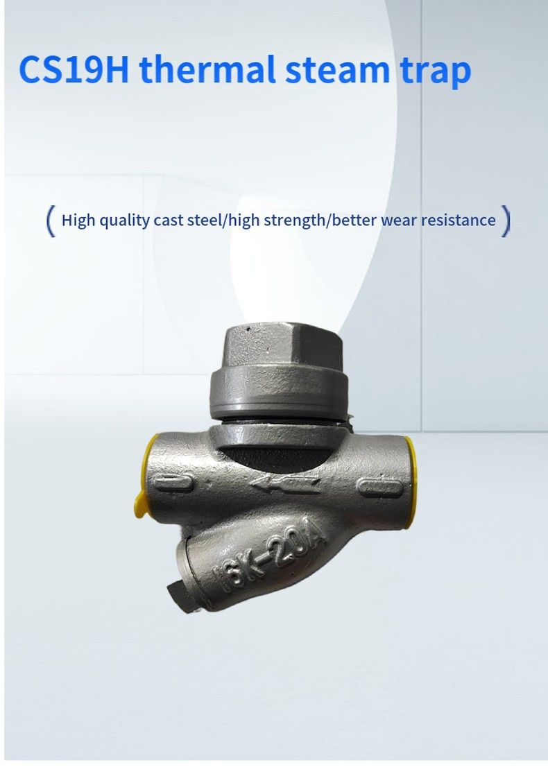 CS19H thermal steam trap