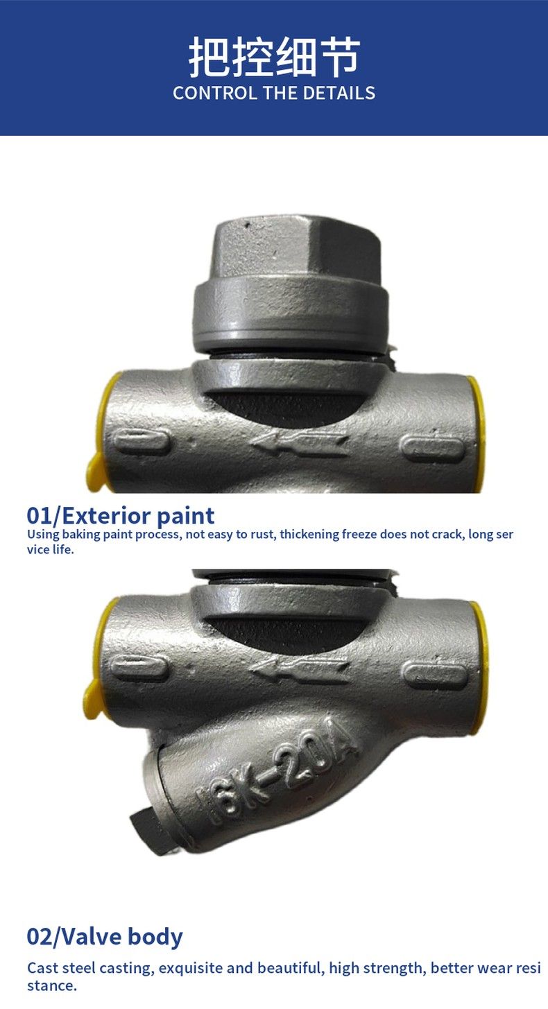 CS19H thermal steam trap