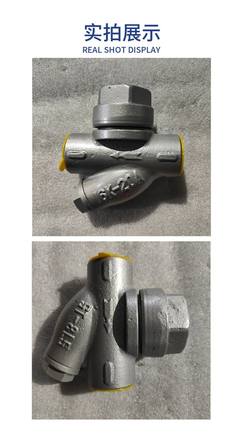 CS19H thermal steam trap