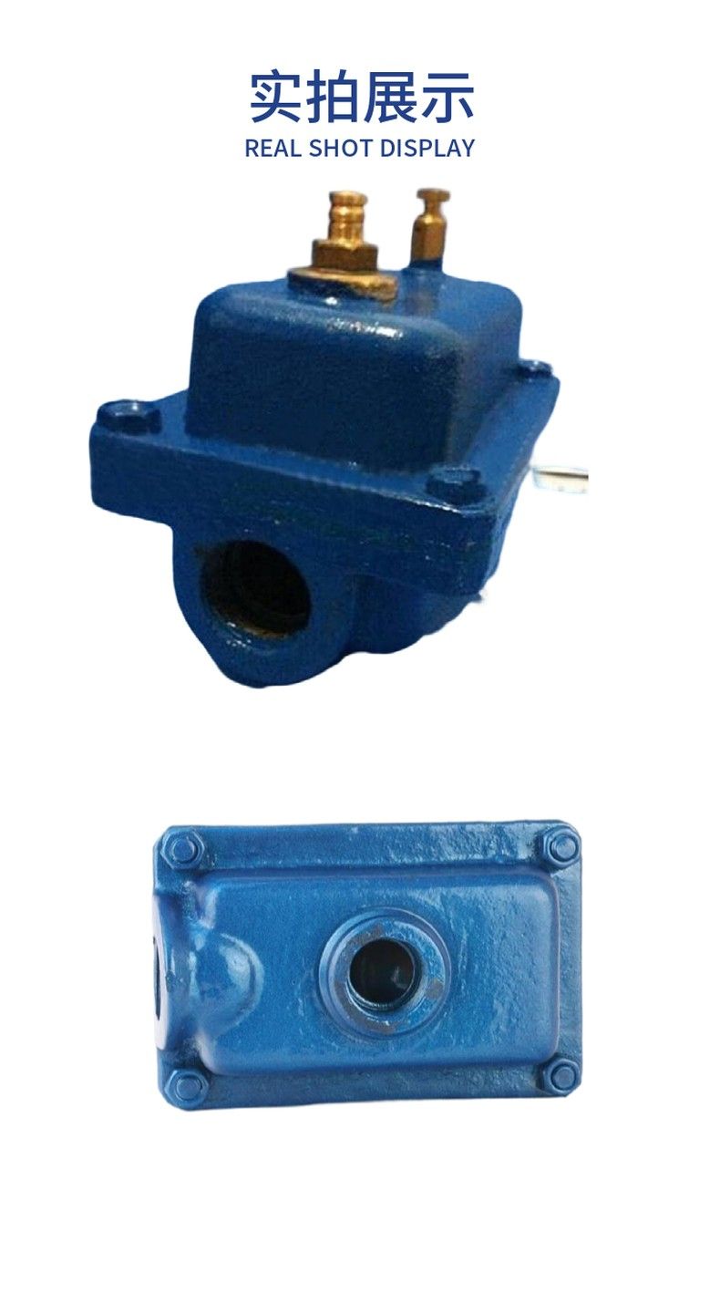 ZP-1 Horizontal automatic exhaust valve