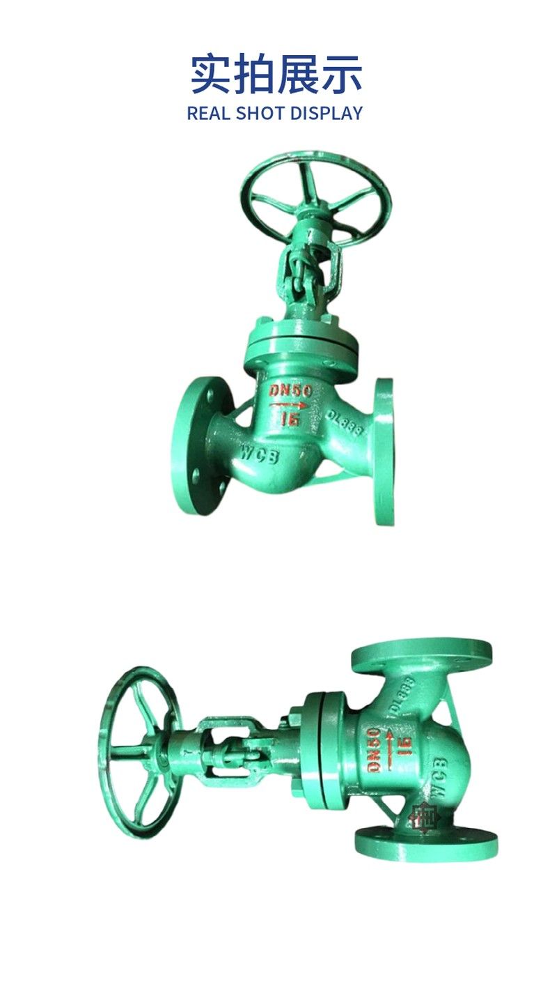 DSJ41H Flanged water seal globe valve