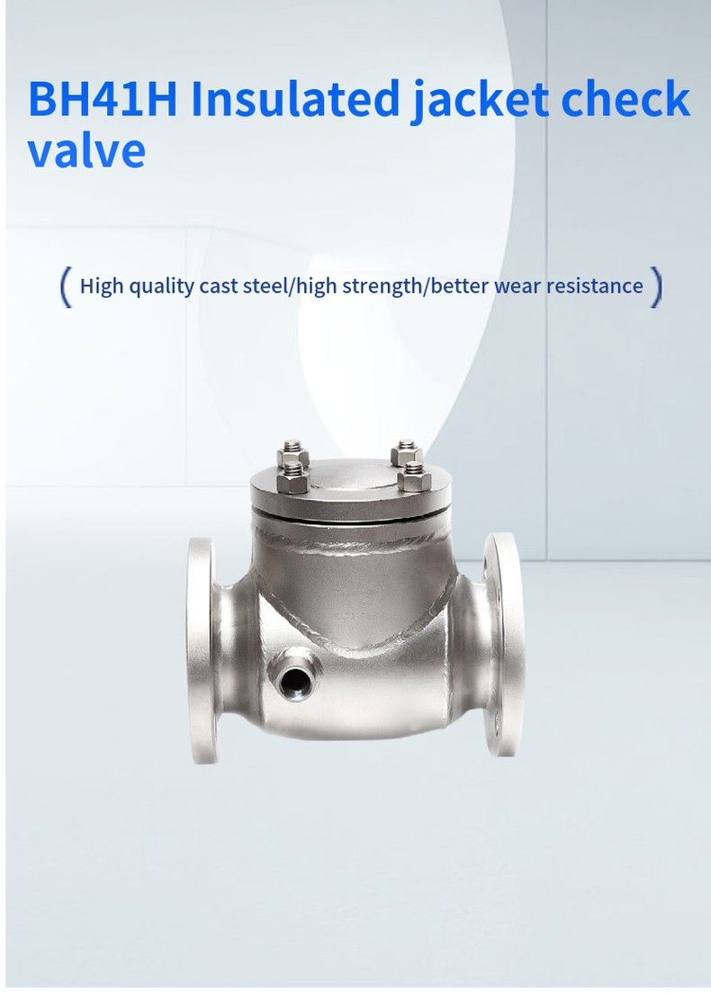 BH41H Insulated jacket check valve