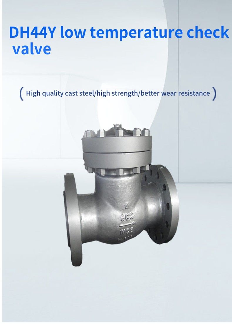 DH44Y low temperature check valve