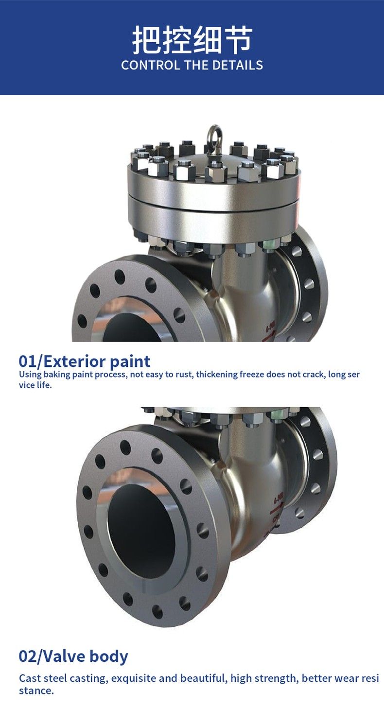 DH44Y low temperature check valve