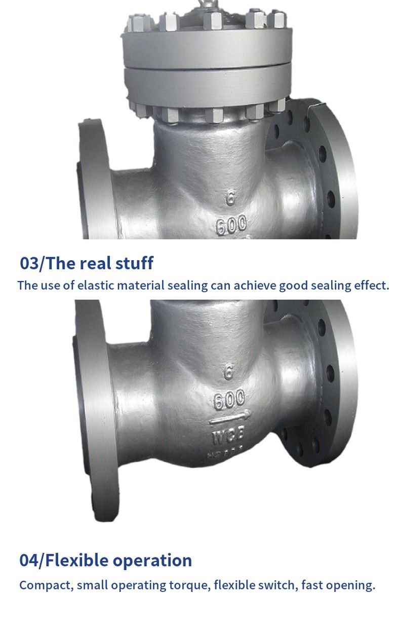 DH44Y low temperature check valve