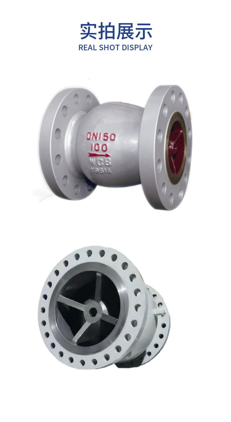 GLH41H tubular check valve