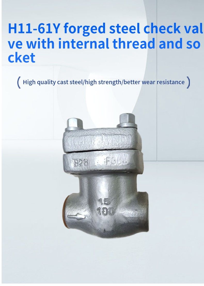 H11-61Y forged steel check valve with internal thread and socket