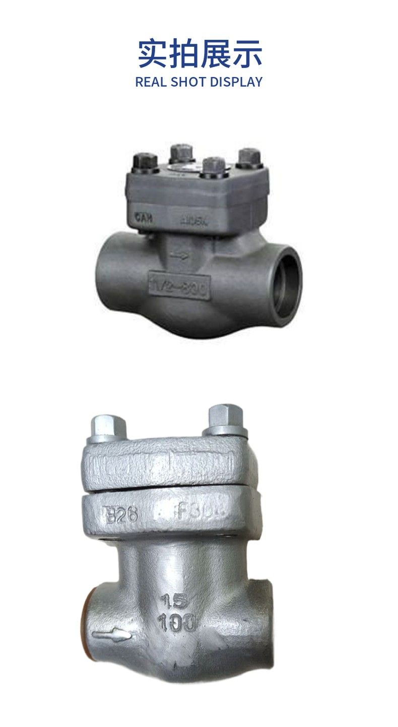 H11-61Y forged steel check valve with internal thread and socket