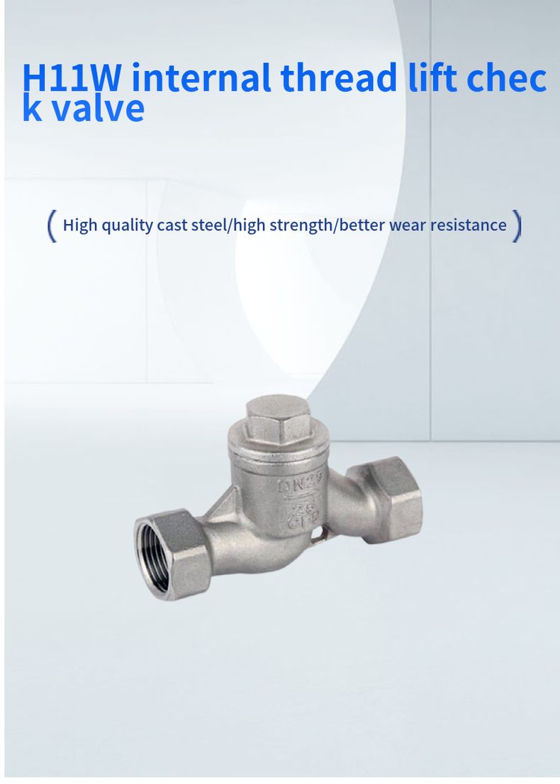 H11W internal thread lift check valve