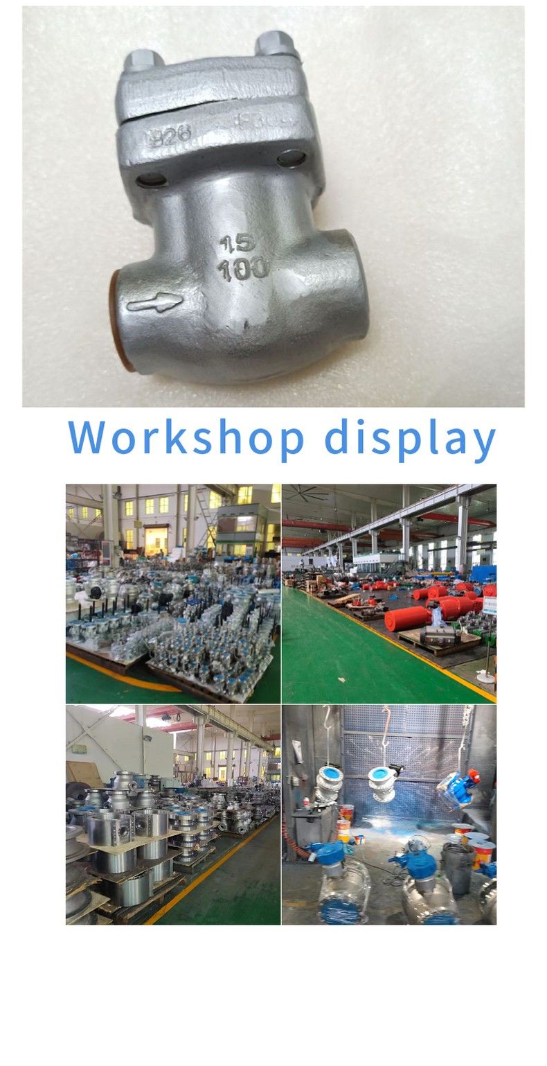 H11W internal thread lift check valve