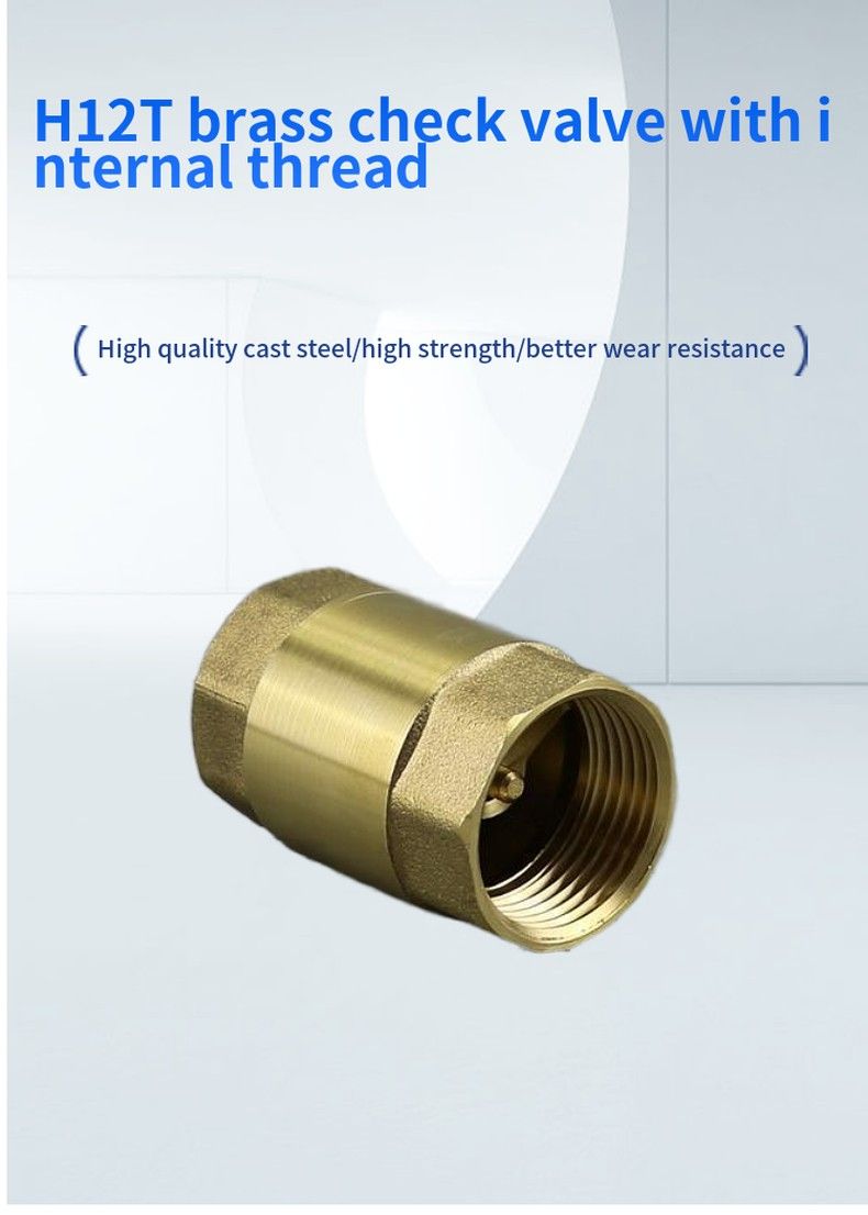 H12T brass check valve with internal thread