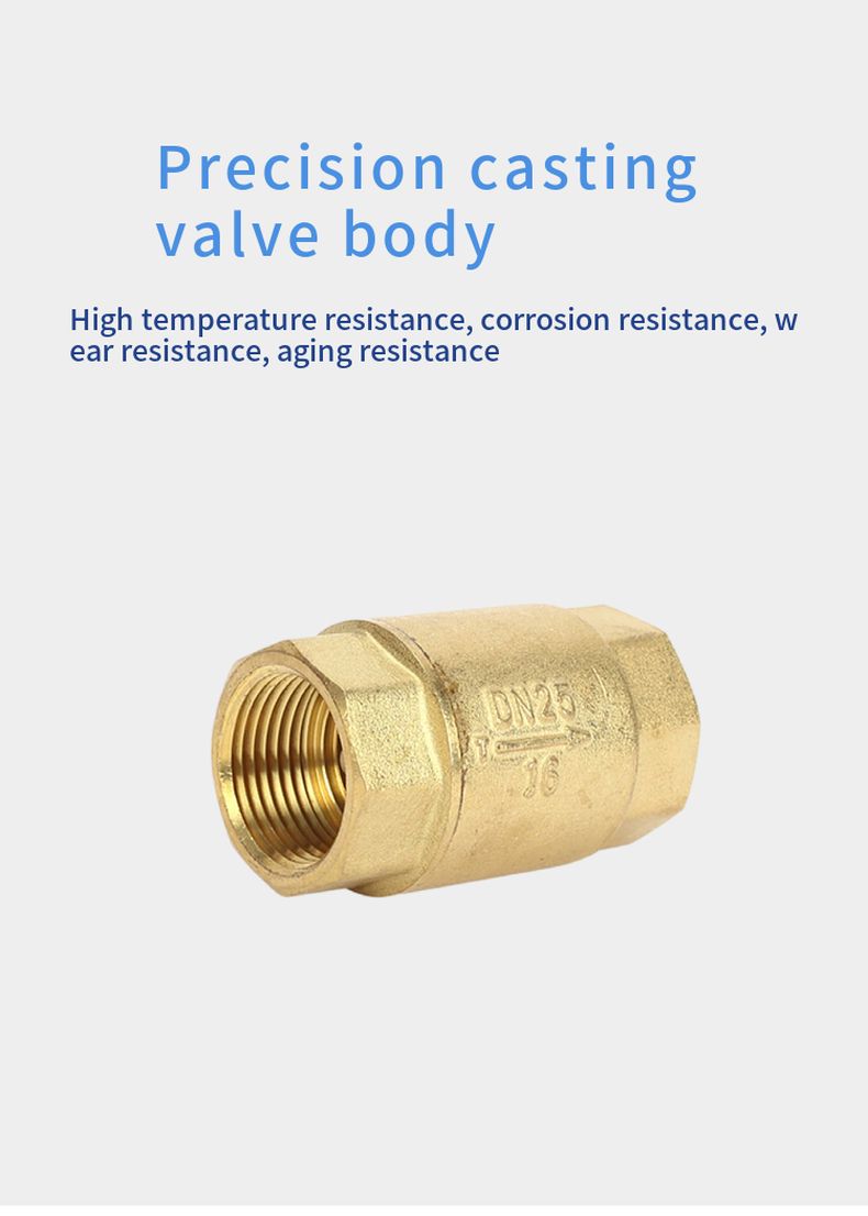 H12T brass check valve with internal thread