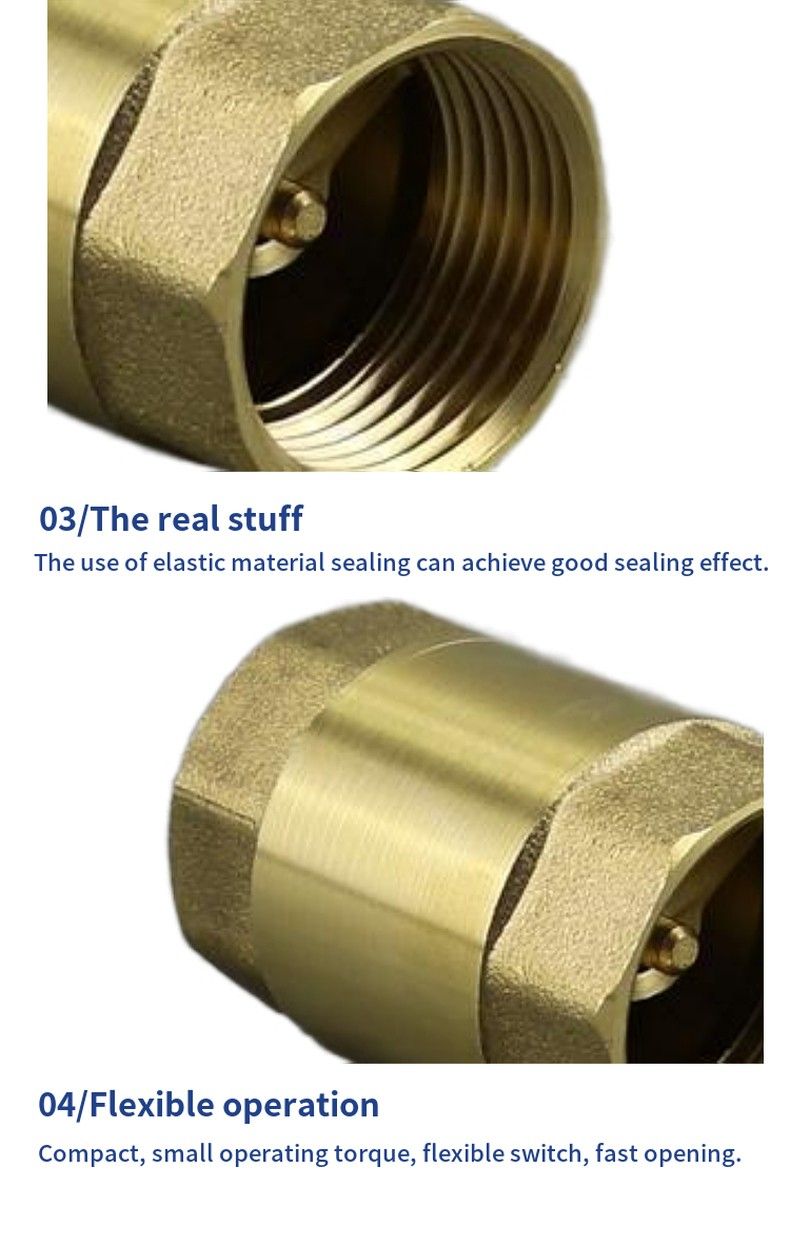 H12T brass check valve with internal thread