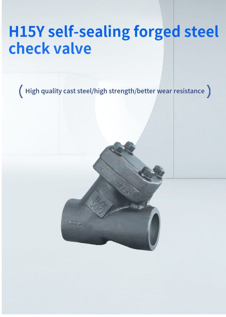 H15Y self-sealing forged steel check valve