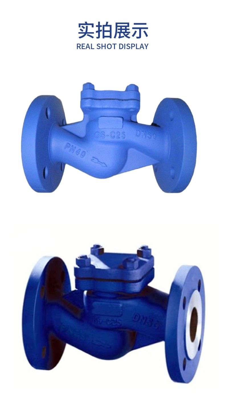 H41H German standard lift check valve