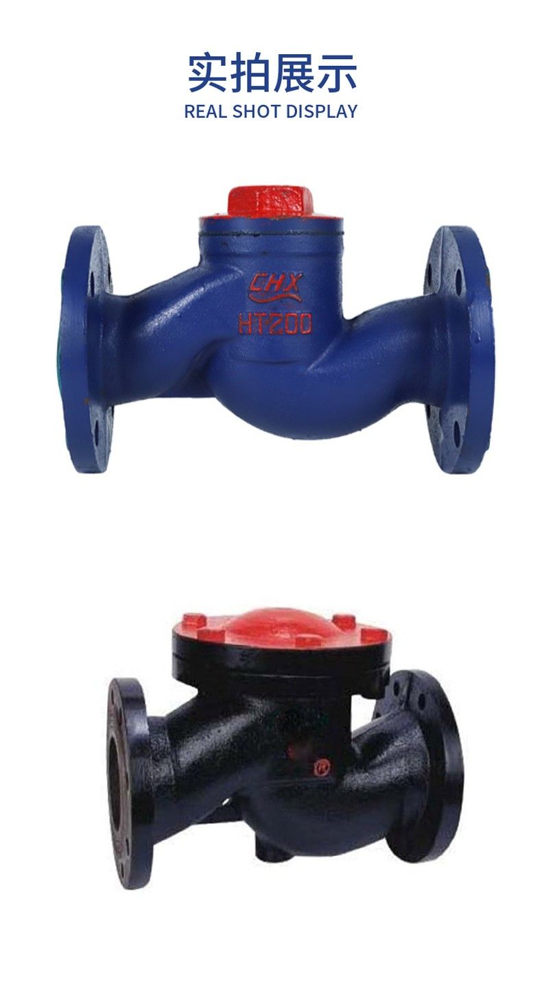 H41T cast iron lift check valve