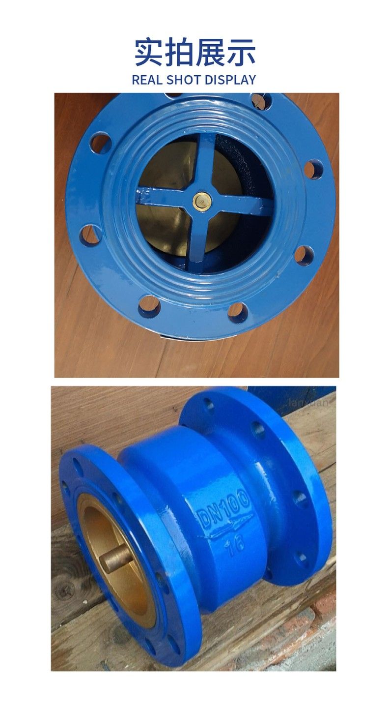 H42F46 Fluorine lined vertical check valve