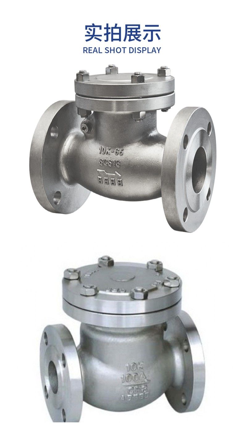 H44H day standard flange check valve