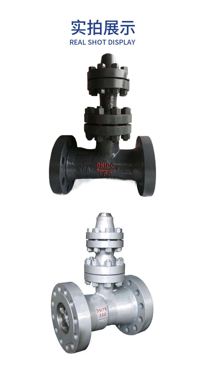 H48H empty discharge check valve