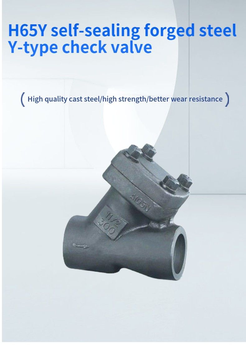 H65Y self-sealing forged steel Y-type check valve