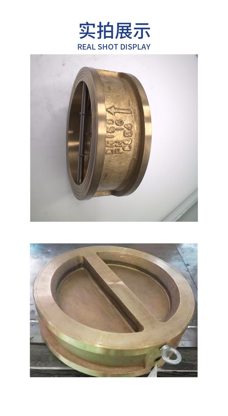 H76H brass clamp check valve