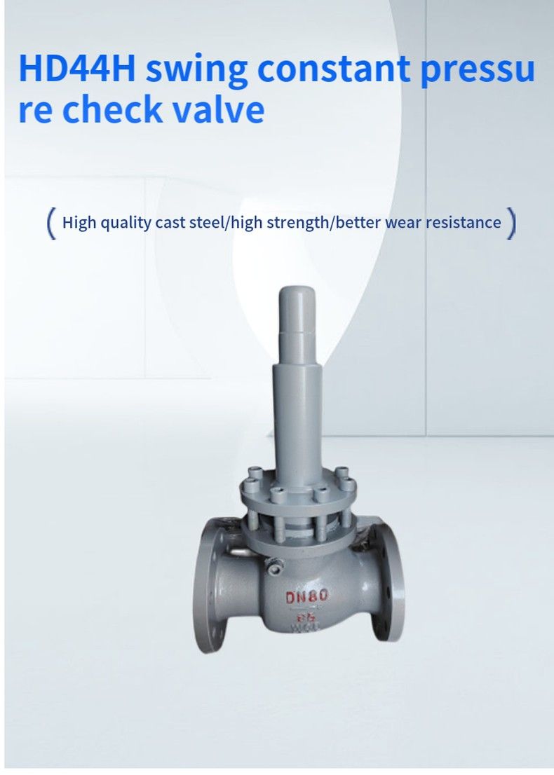 HD44H swing constant pressure check valve