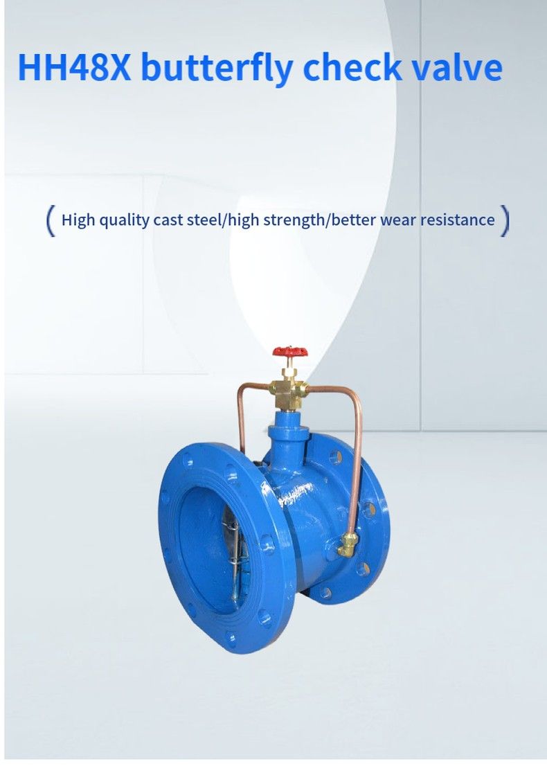 HH48X butterfly check valve