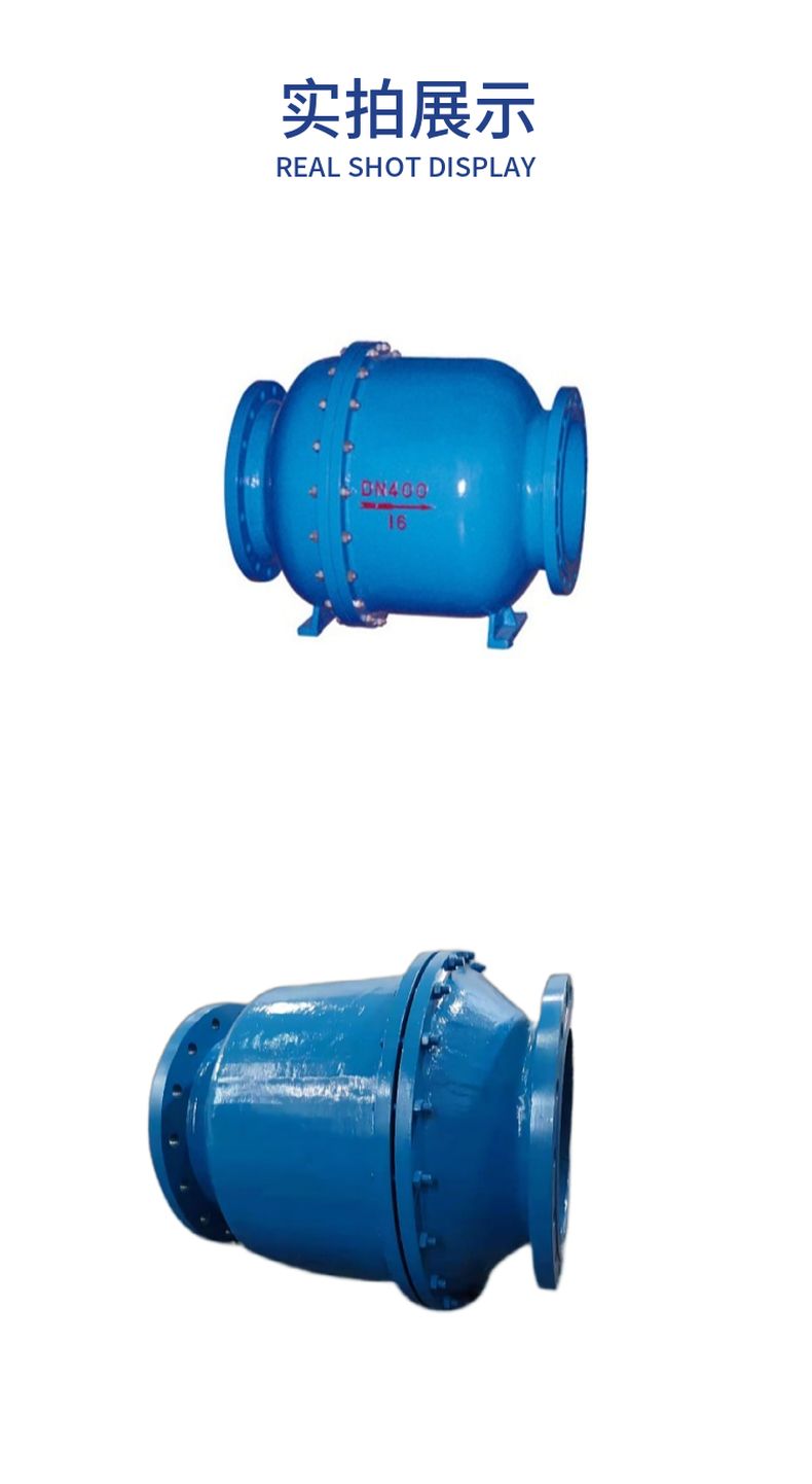 HQ45X multi-ball check valve