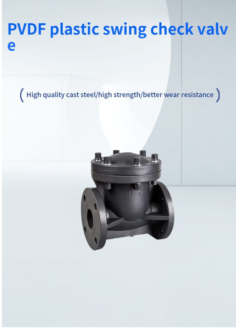 PVDF plastic swing check valve