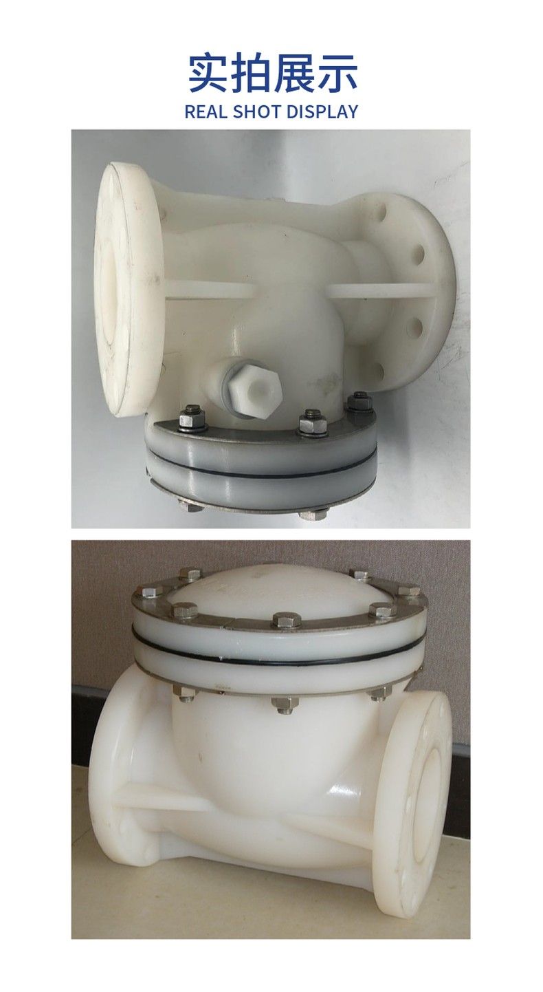 PVDF plastic swing check valve