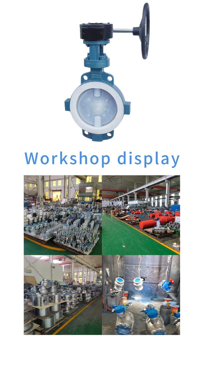 D371F46 Splint type fluorine lined butterfly valve