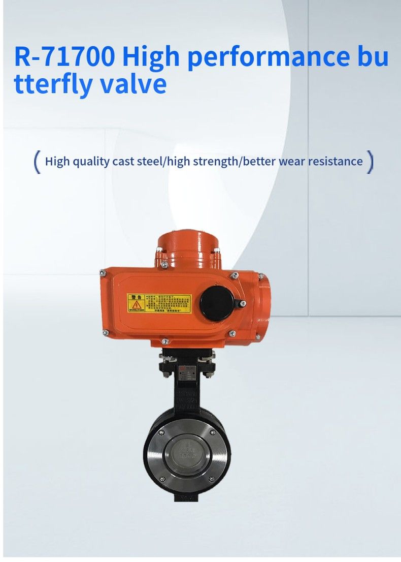 R-71700 High performance butterfly valve