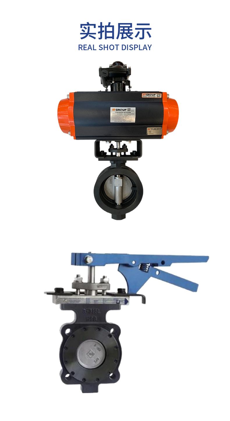 R-71700 High performance butterfly valve