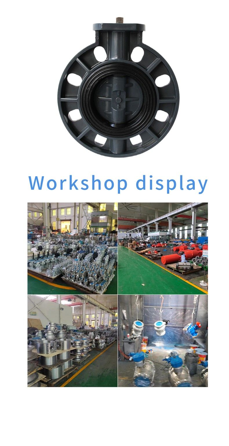 Plastic butterfly valve